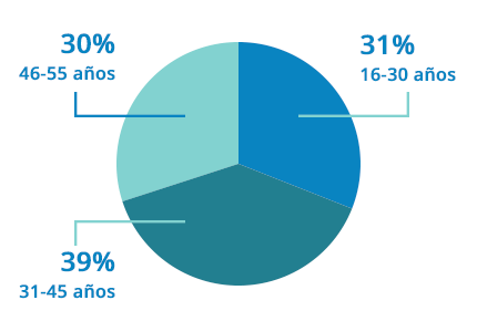 Usuarios de Internet por rangos de edad: el 30% son jóvenes de 26 a 30 años, el 39% adultos entre 31 y 45 años, el 31% son personas entre 46 y 55 años